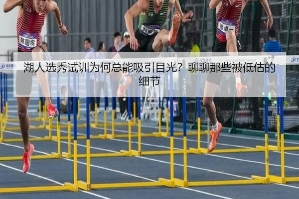 湖人选秀试训为何总能吸引目光？聊聊那些被低估的细节