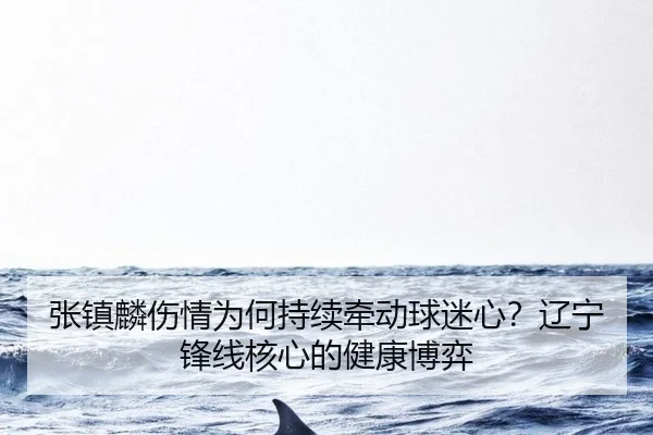 zhang-zhen-lin-shang-qing-wei-he-chi-xu-qian-dong-qiu-mi-xin-liao-ning-feng-xian-he-xin-de-jian-kang-bo-yi-1-283.jpg